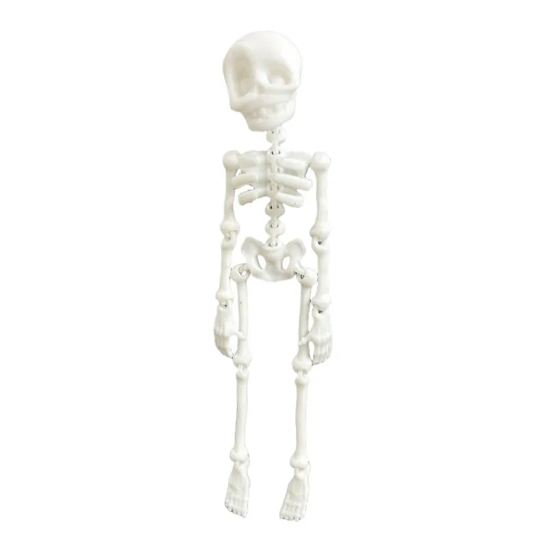 3D printed PLA skull refrigerator magnet decoration in multiple colours with 18cm height