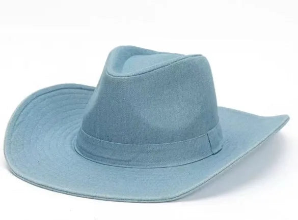 Brown leather velvet curved-edge western cowboy hat with a conical crown on a plain background.