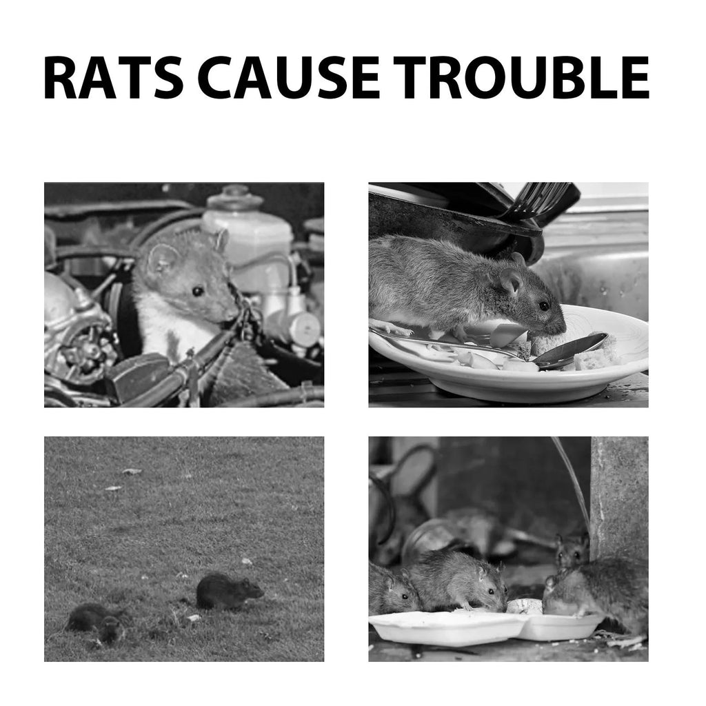 60ml rat repellent spray bottle with natural clove, peppermint, camphor, and chilli oils.