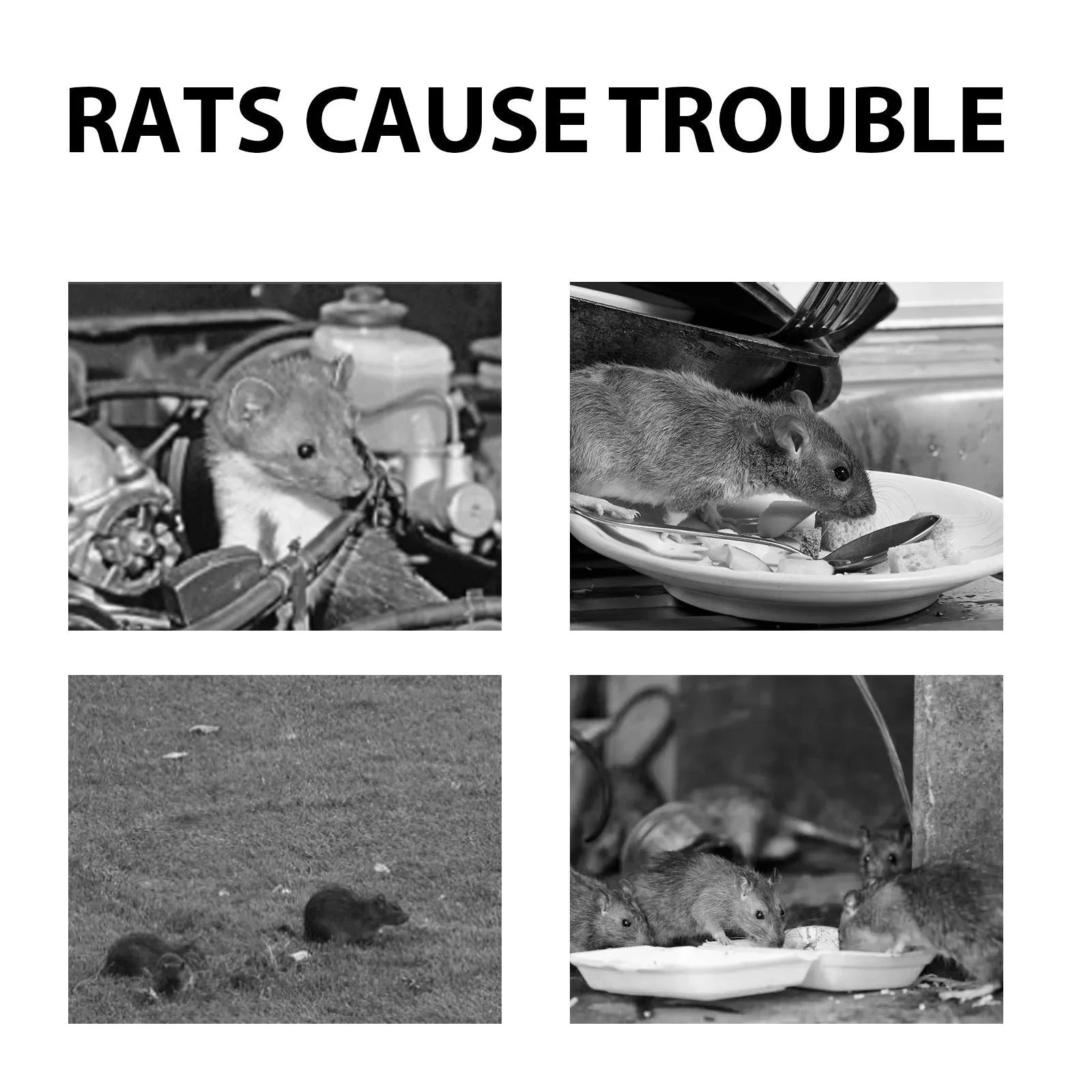 60ml rat repellent spray bottle with natural clove, peppermint, camphor, and chilli oils.