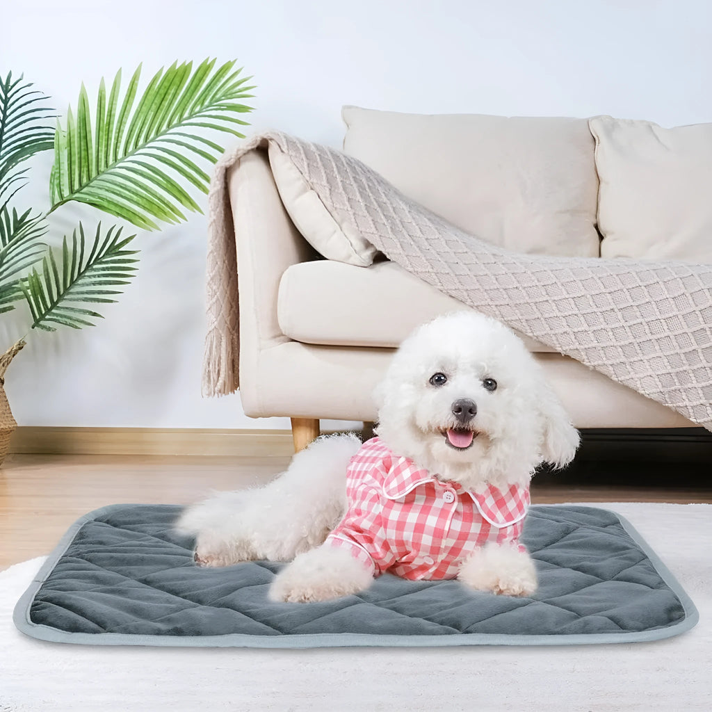 Grey multi-layer cloth pet cushion shown in four available sizes for dogs and cats.