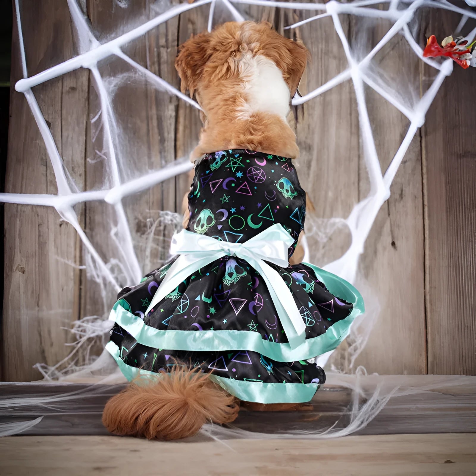 Colourful double-layer Halloween skirt for dogs in pumpkin and skull patterns