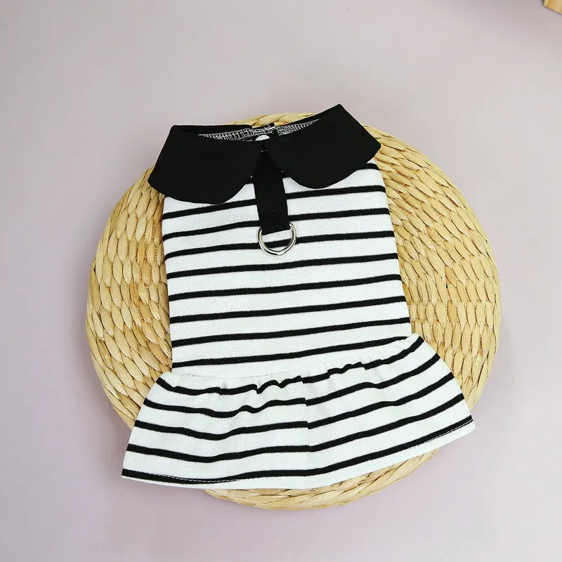 Dog wearing cotton summer T-shirt with matching striped skirt, showing complete two-piece outfit
