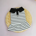 Dog wearing cotton summer T-shirt with matching striped skirt, showing complete two-piece outfit