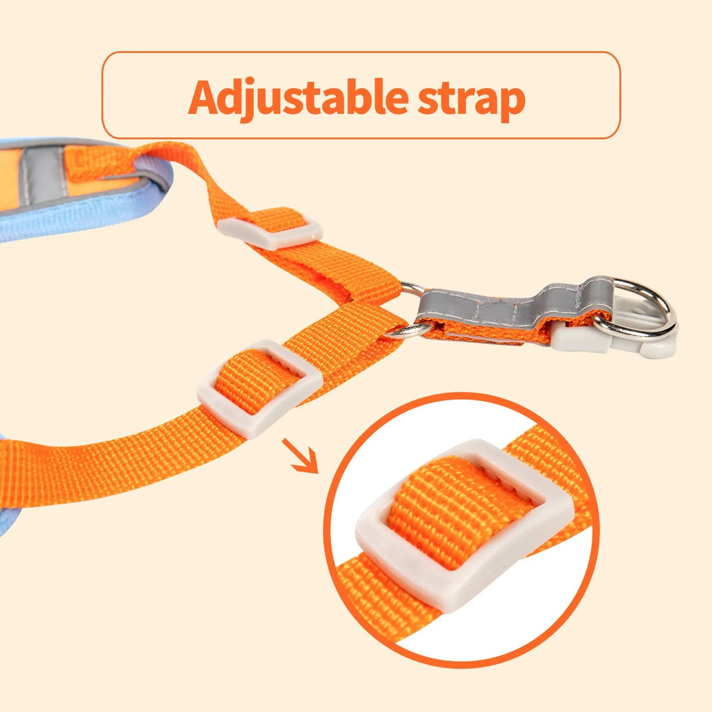 Adjustable dog harness and haulage rope set in purple, blue, orange, red, brown, or green with chest strap.