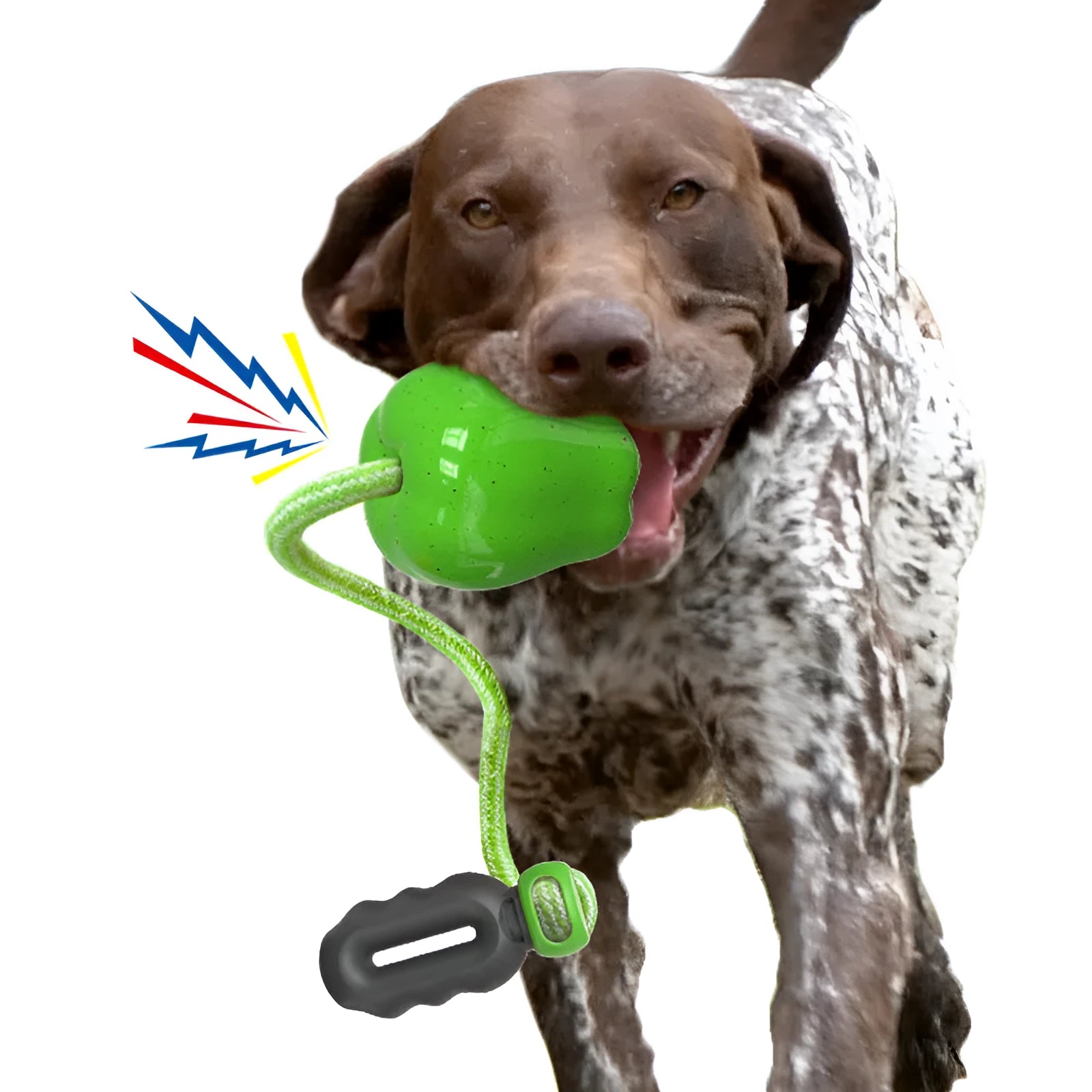 Green and red plastic apple-shaped dog toy with hollow centre for food dispensing