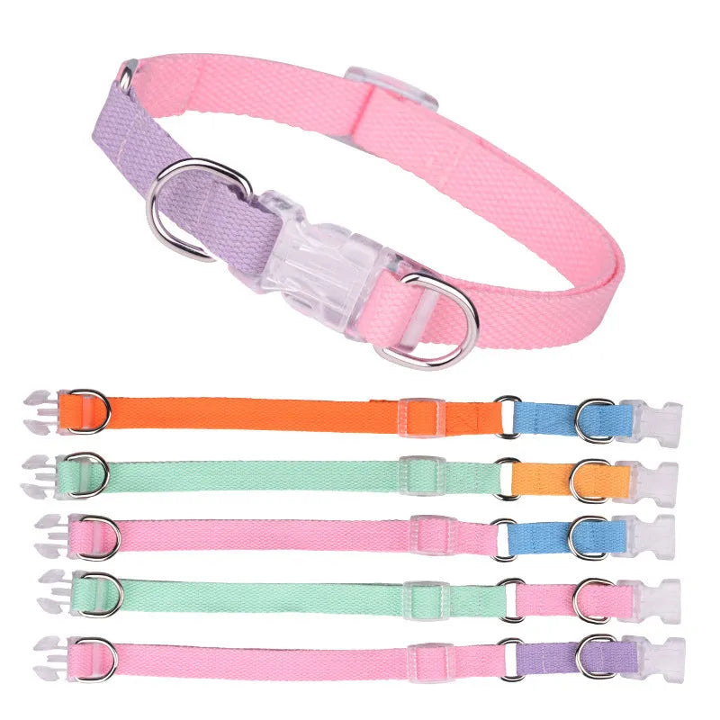 Polyester ribbon dog collar set with hand holding rope and chest strap in coordinated colours
