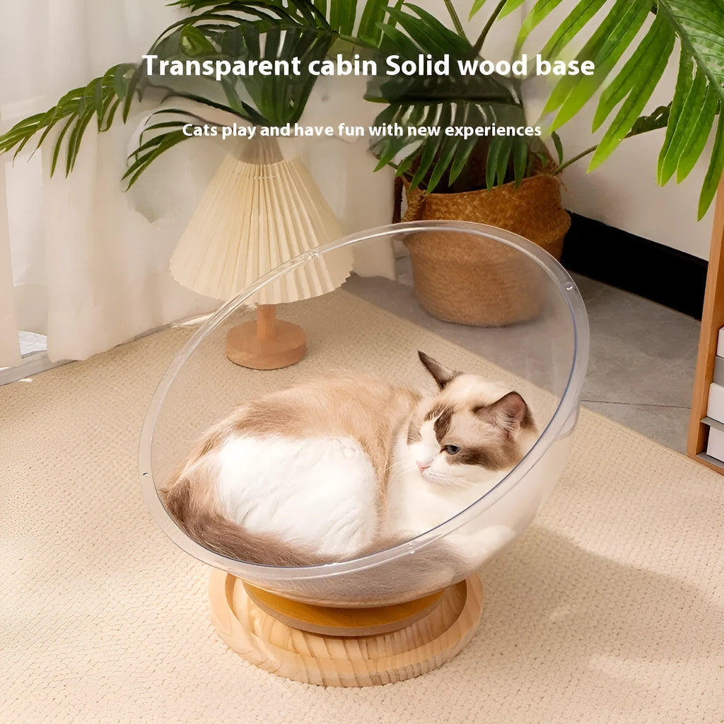 Transparent acrylic capsule cat bed with turntable base on wooden floor