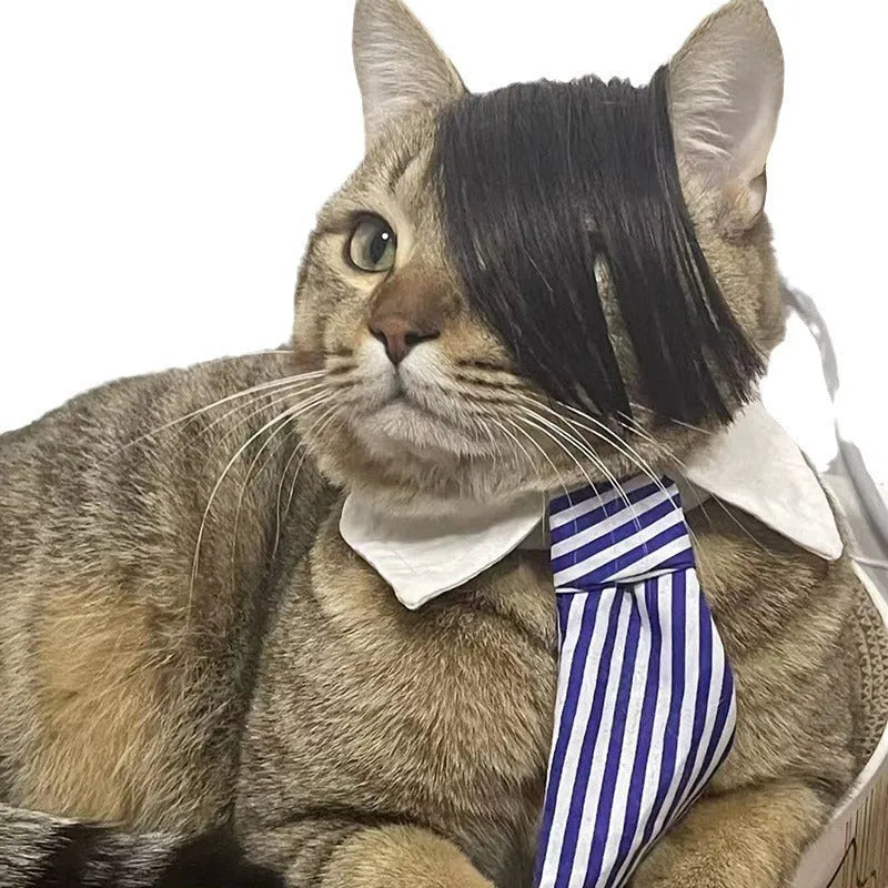 Black polyester cat wig with braided styling and elastic band for fox costume dress-up.