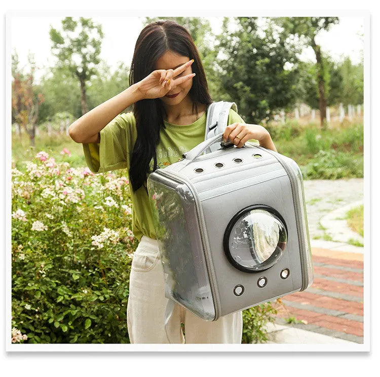 Foldable EVA pet backpack with transparent space capsule, cover, and 15 kg capacity in black
