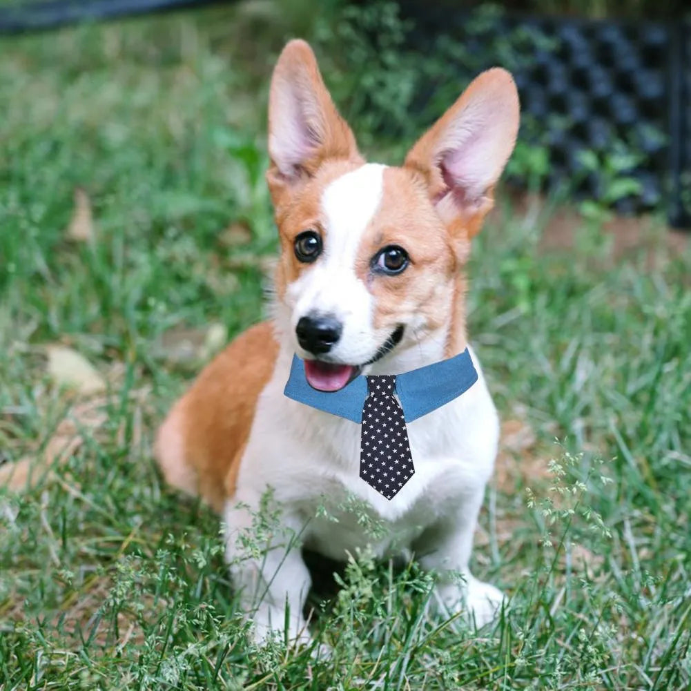 Denim dog collar with star pattern necktie adjustable for formal pet events
