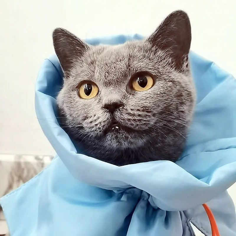 Soft adjustable Elizabethan recovery collar for cats in blue, shown on a cat to prevent licking.