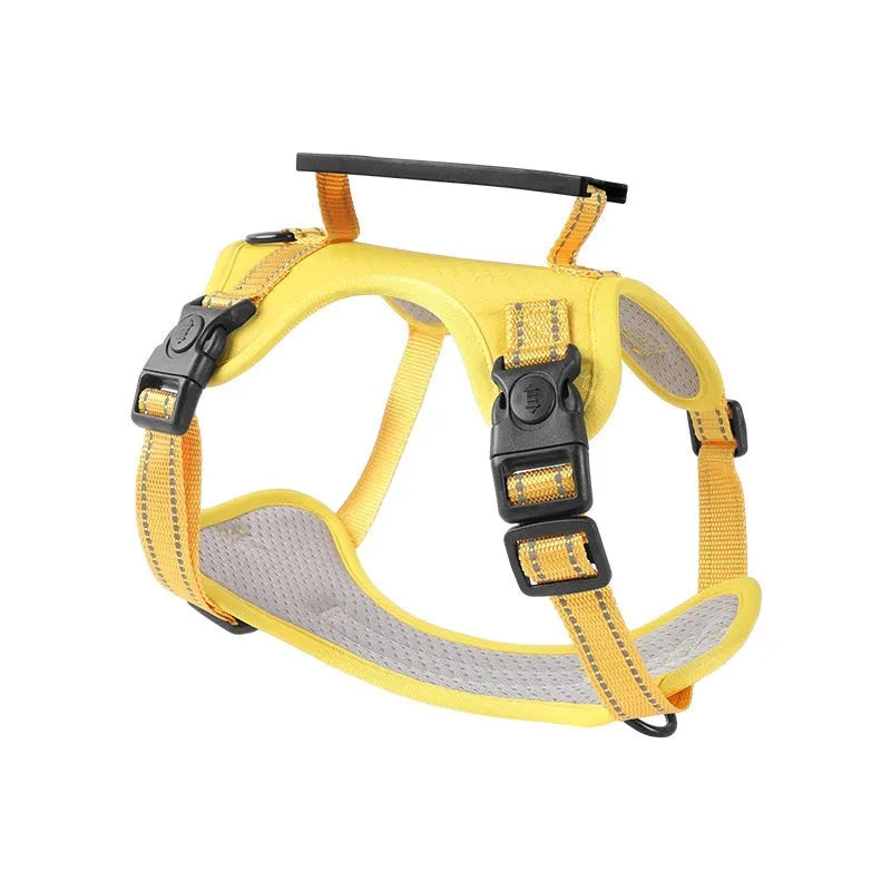 Adjustable polyester dog chest harness and lead in various colours on a white background