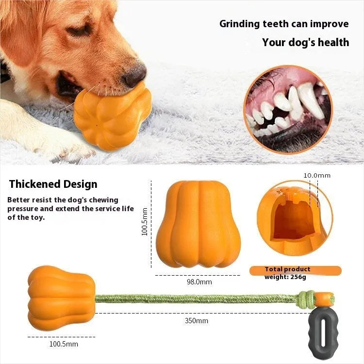 Pumpkin coloured plastic molar dog toy with rope attachment for outdoor throwing