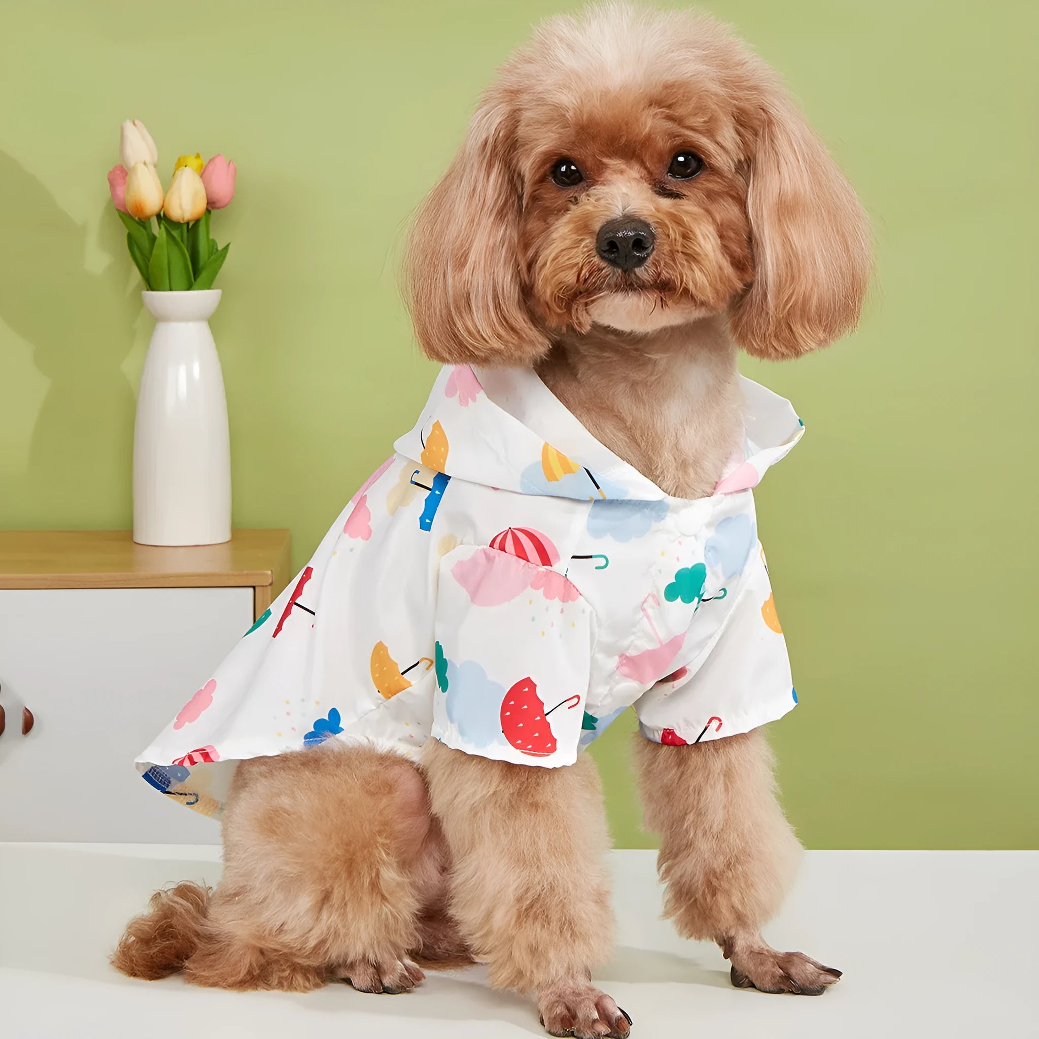 Colourful cartoon umbrella pattern polyester raincoat for a dog or cat.