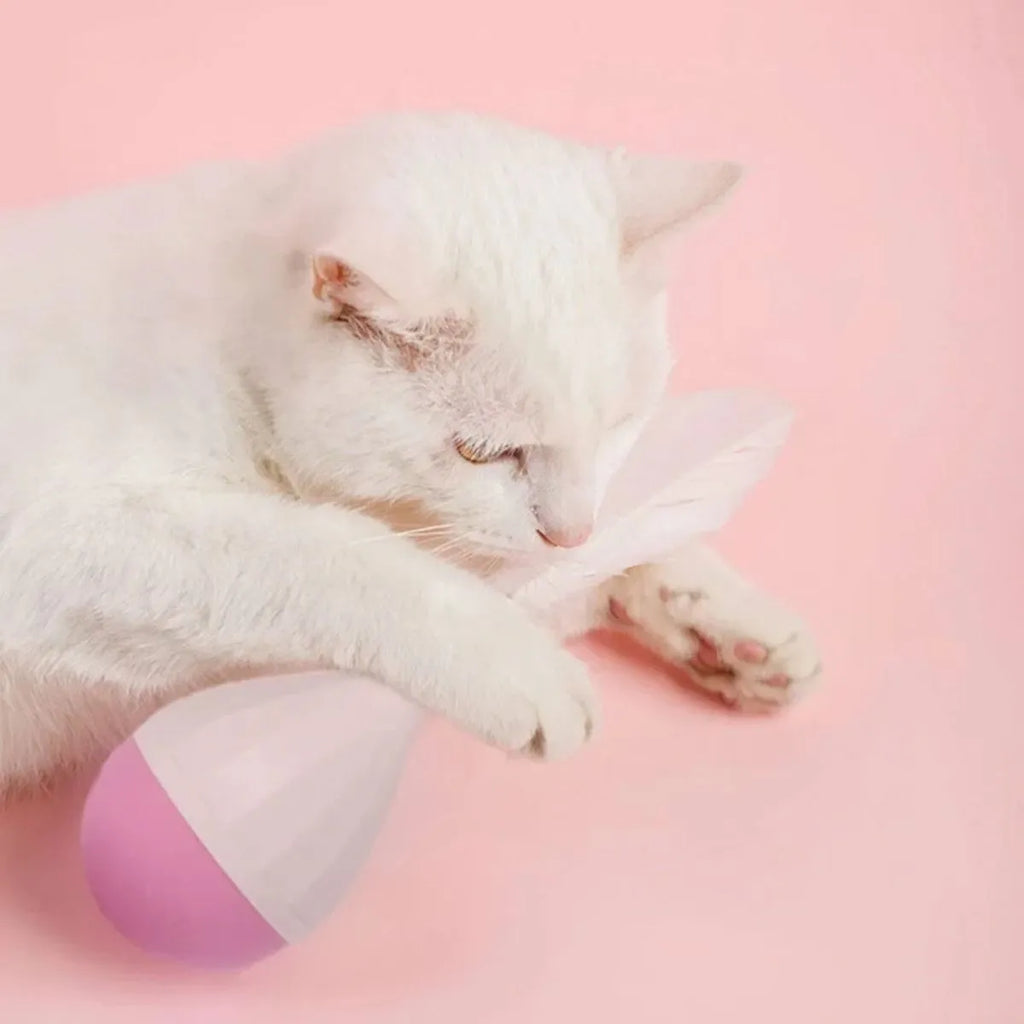Feather tumbler cat toy showing green colour option with tease stick and goose feather attachment