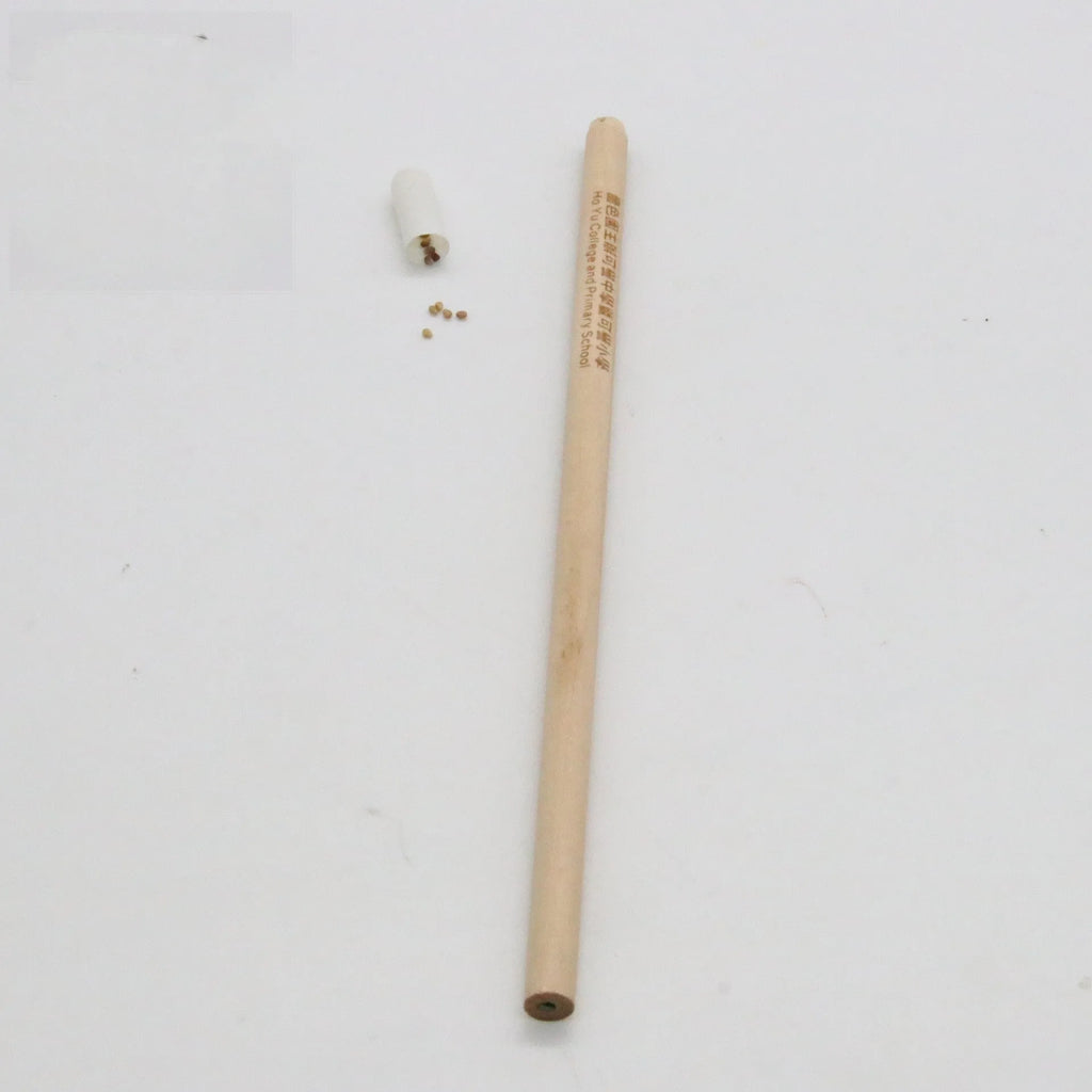 Seed pencil with coloured degradable capsule containing plant seeds next to a potted seedling.
