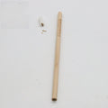 Seed pencil with coloured degradable capsule containing plant seeds next to a potted seedling.