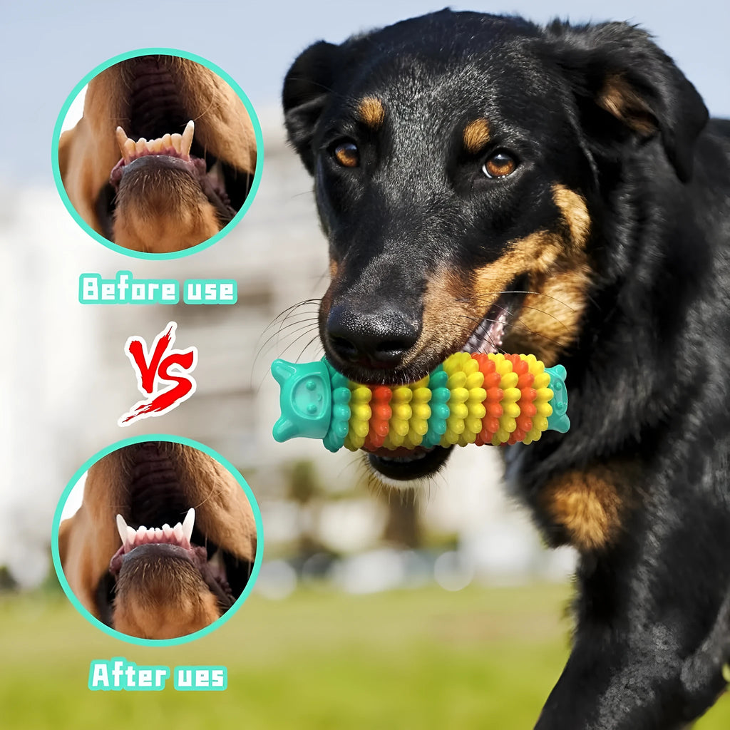 Blue natural rubber caterpillar-shaped dog chew toy for aggressive chewers