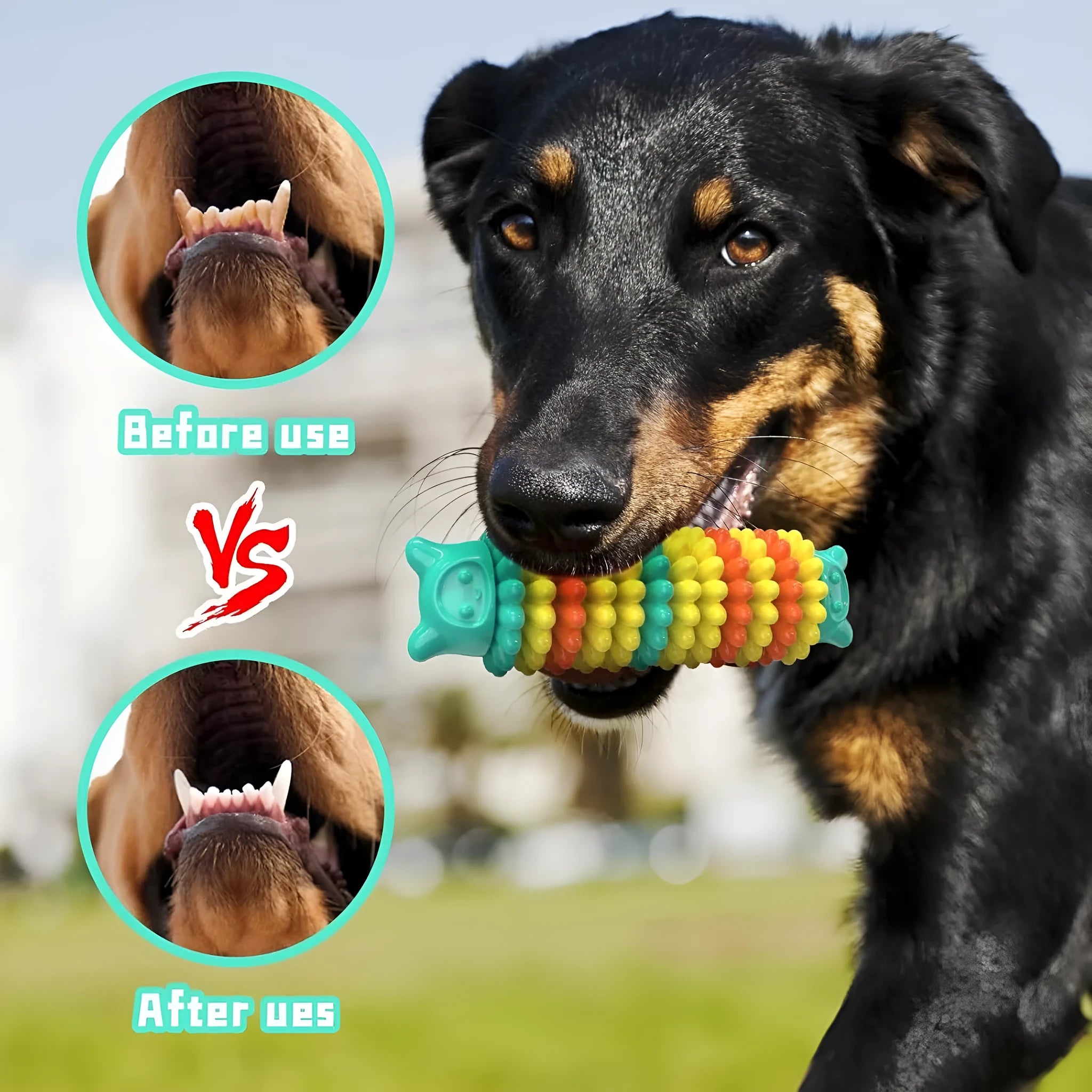 Blue natural rubber caterpillar-shaped dog chew toy for aggressive chewers