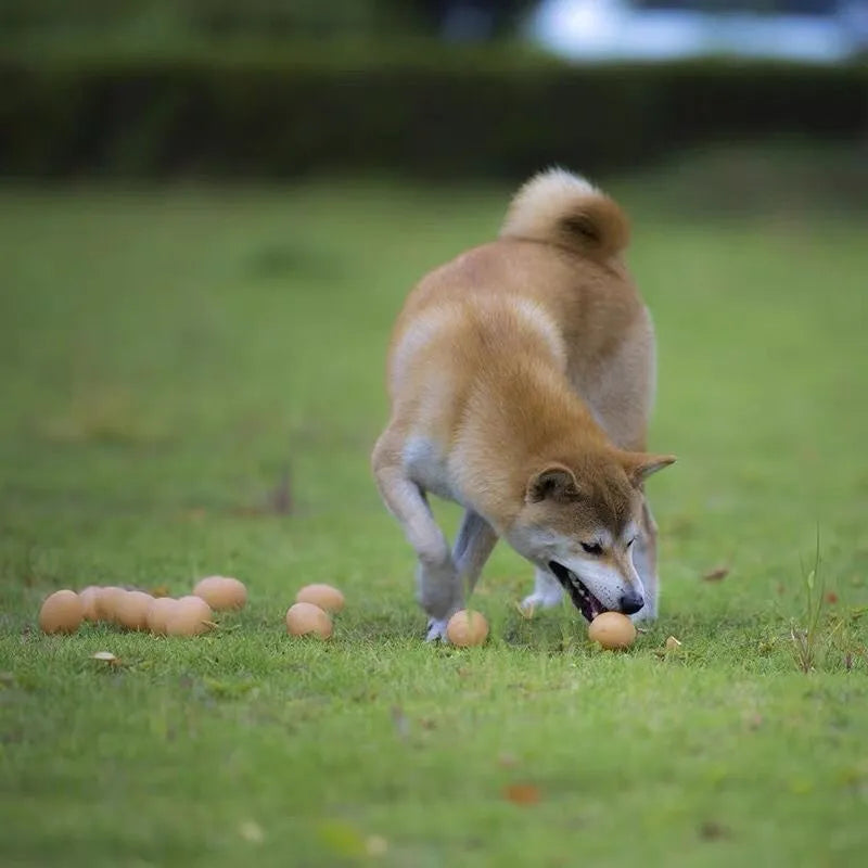 TPU simulation egg dog toy with sound feature for chewing and play