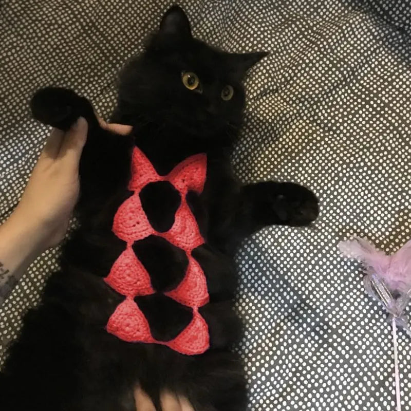 Cat wearing bikini costume in multiple colour options for festival parties