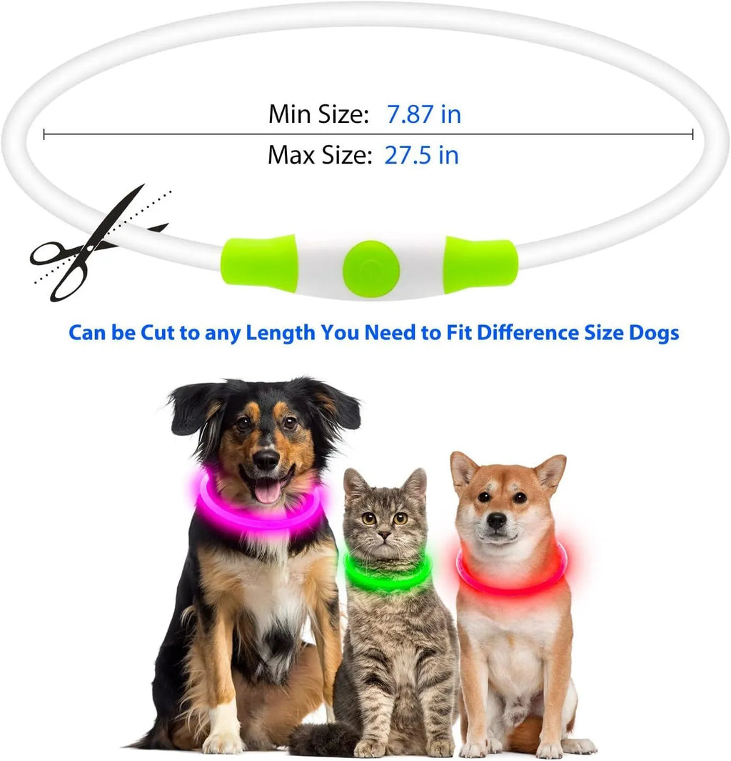 Blue USB rechargeable LED dog collar with glowing light on adjustable TPU strap