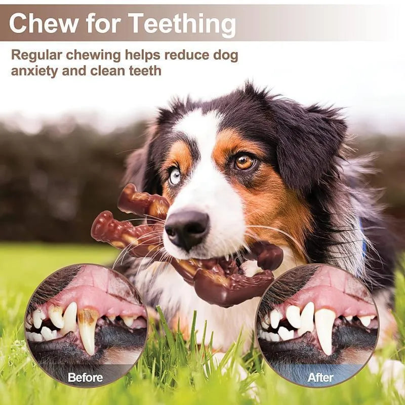 Scarlet red nylon dog chew toy with textured surface measuring 10.7×17.2×5cm