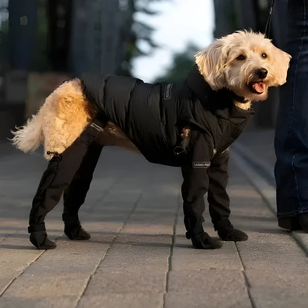 Doggie Strap Paw Protectors waterproof non-slip dog shoes in multiple sizes