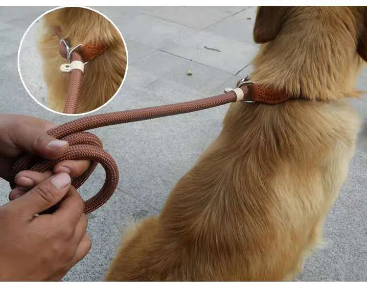 Brown nylon dog leash with 2.1 metre length and dual-thickness rope design