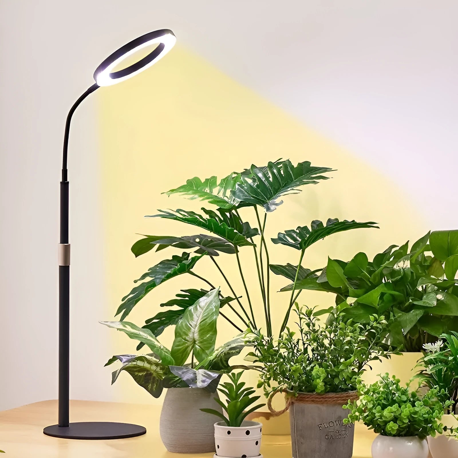 Aluminium alloy angel ring plant grow light on a retractable floor stand