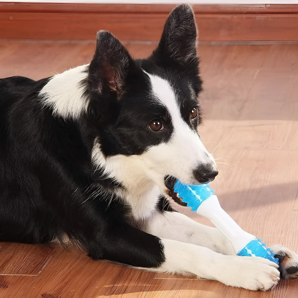 Dual-colour dog chew toy for teething puppies, shown in small, medium, and large sizes.