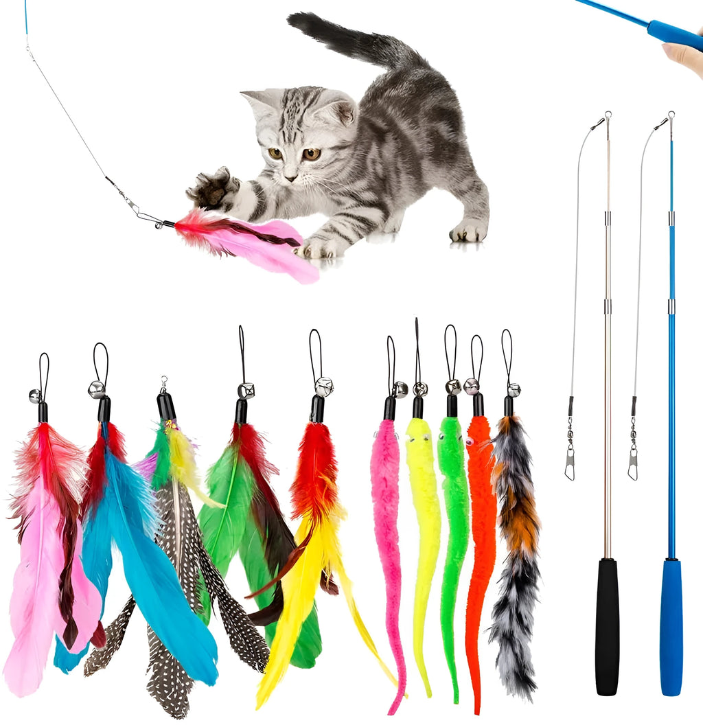 Cat teasing pole set with two fishing rod toys and ten feather replacement heads for interactive play