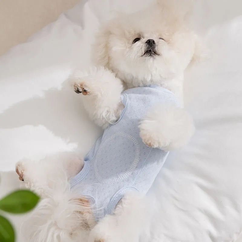 Breathable mesh pet shirt for small dogs and cats in blue or yellow with cat patch and button closure.