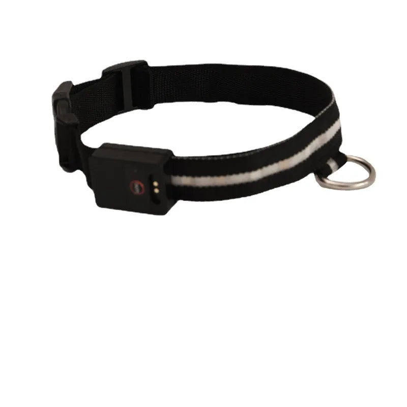 Black LED luminous dog collar with matching 120cm hand rope, polyester, available in S, M and L
