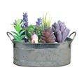Iron sheet succulent flowerpot for desktop use with corrosion-resistant construction