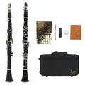 Black clarinet with 17 nickel-plated keys and protective carrying bag