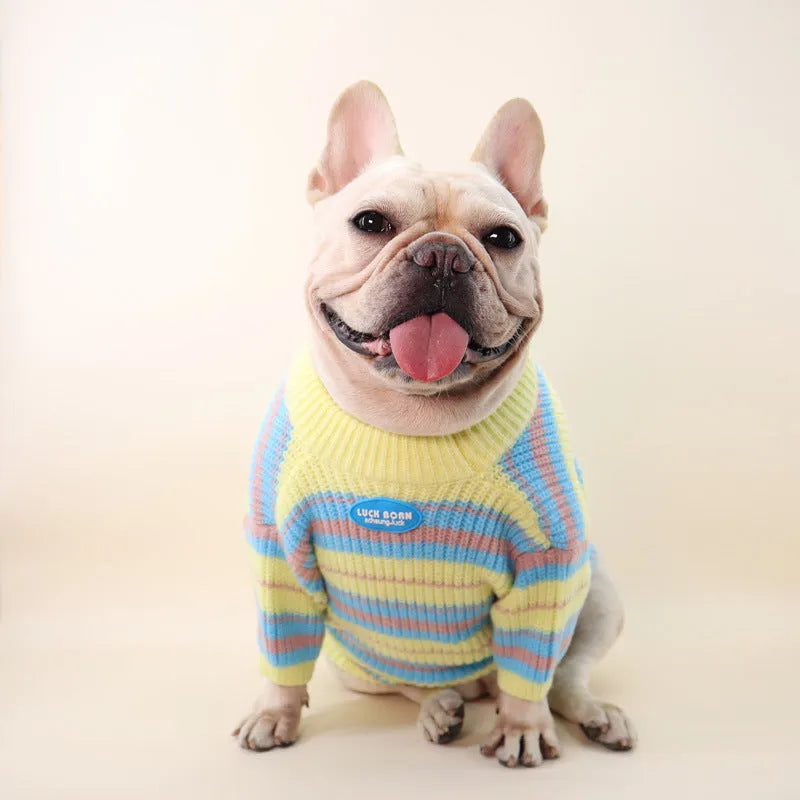 Blue and yellow striped wool dog sweater for small breeds like Maltese and Bichon in sizes XS to XXL