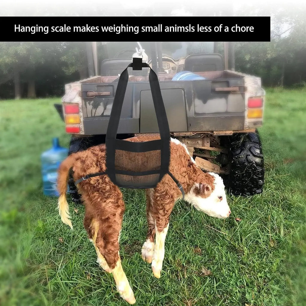 Black nylon calf sling for weighing large dogs and small livestock animals