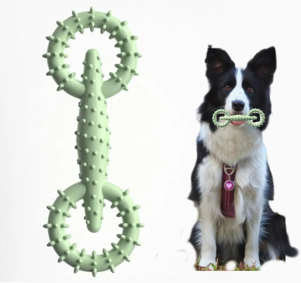 Blue TPR dog chew toy ring measuring 16cm for teething puppies