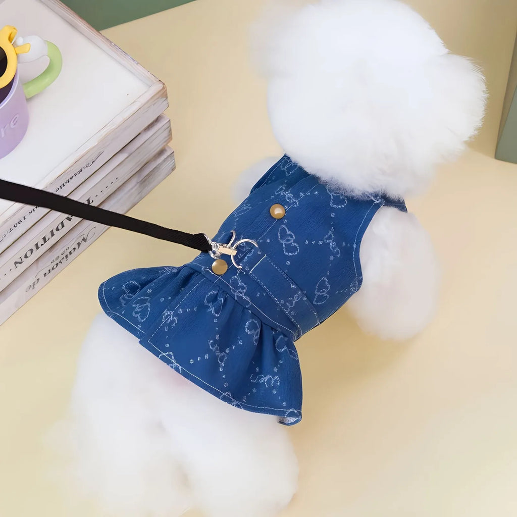 A small dog wearing a light blue denim princess dress with a bracket-style skirt.
