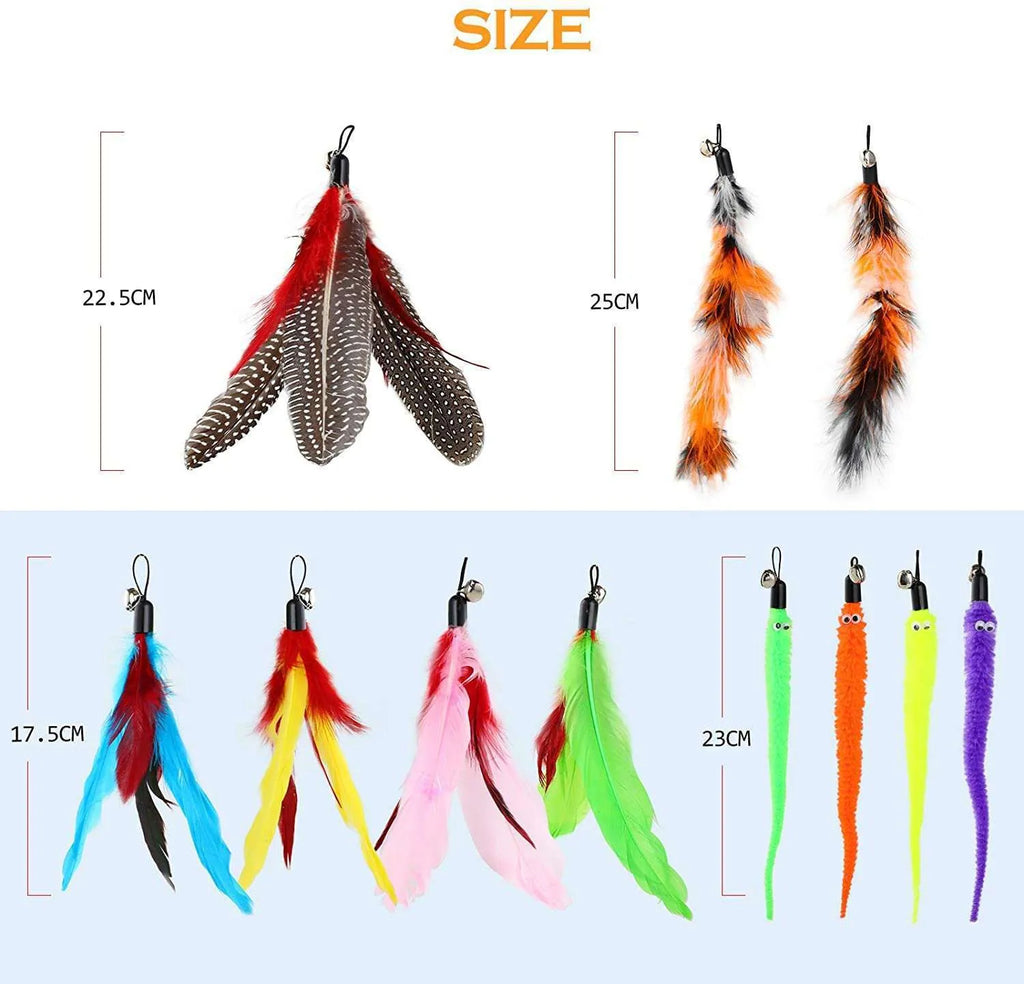 Cat teasing pole set with two fishing rod toys and ten feather replacement heads for interactive play