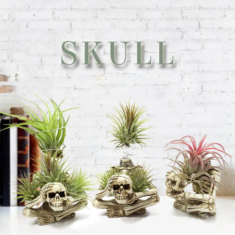 Gothic skull design resin Tillandsia bracket planter with iron mounting bracket