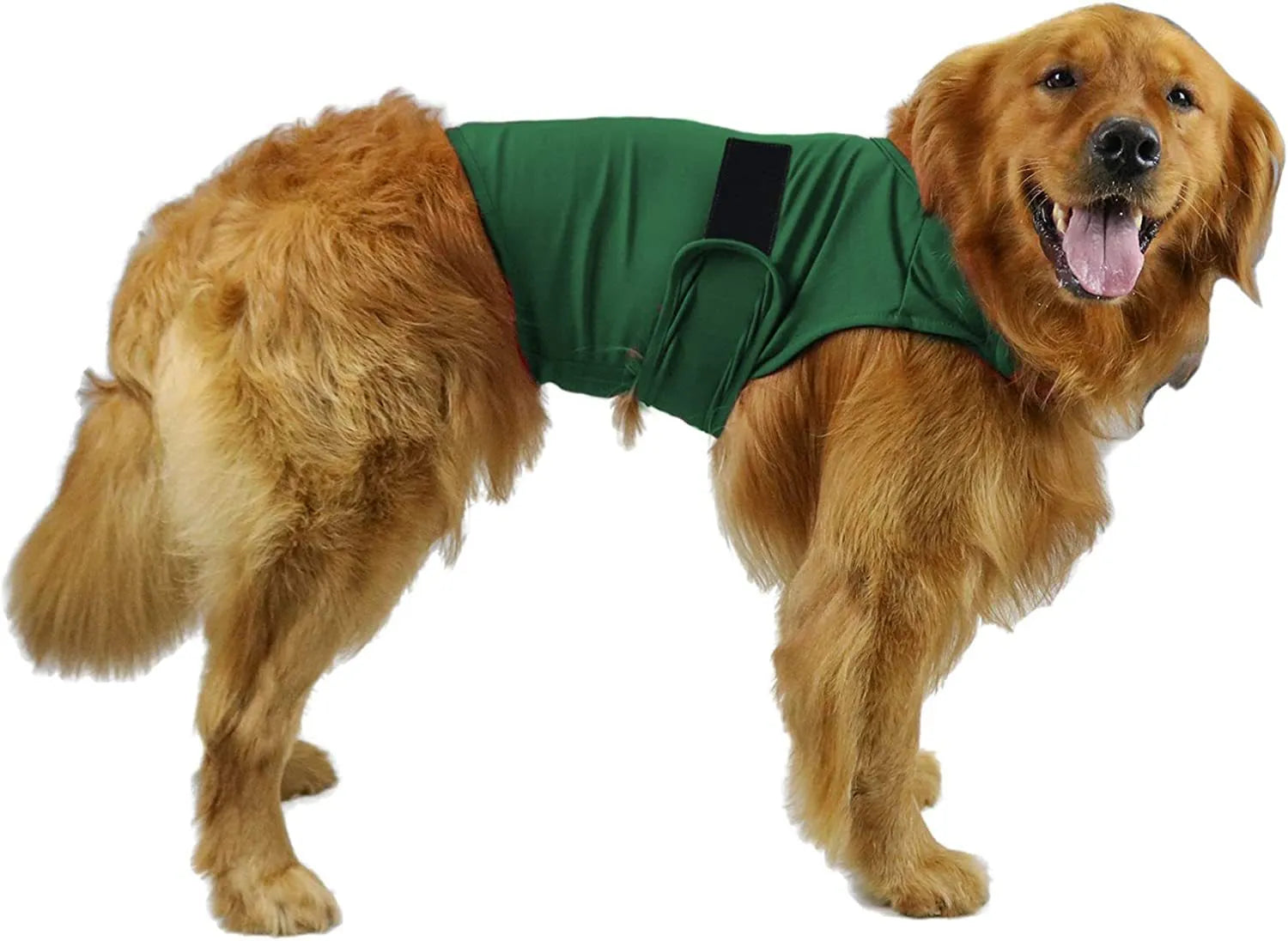 Dog wearing separation anxiety tank top in brocade cotton Ponte-de-Roma fabric