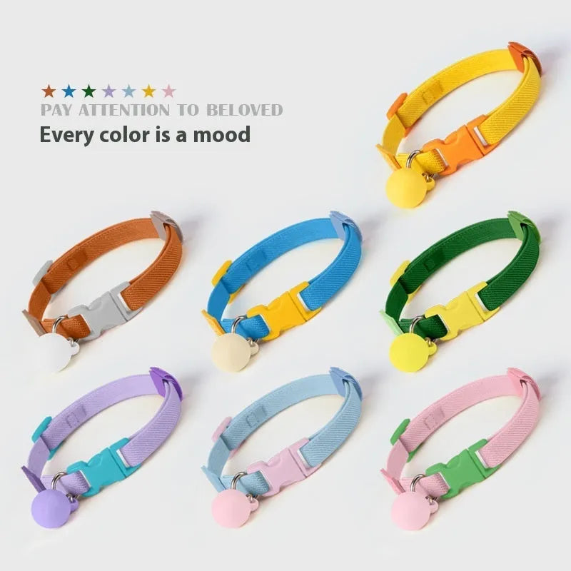 A small dog's polyester elastic pet collar in a solid colour with a monochrome pattern.