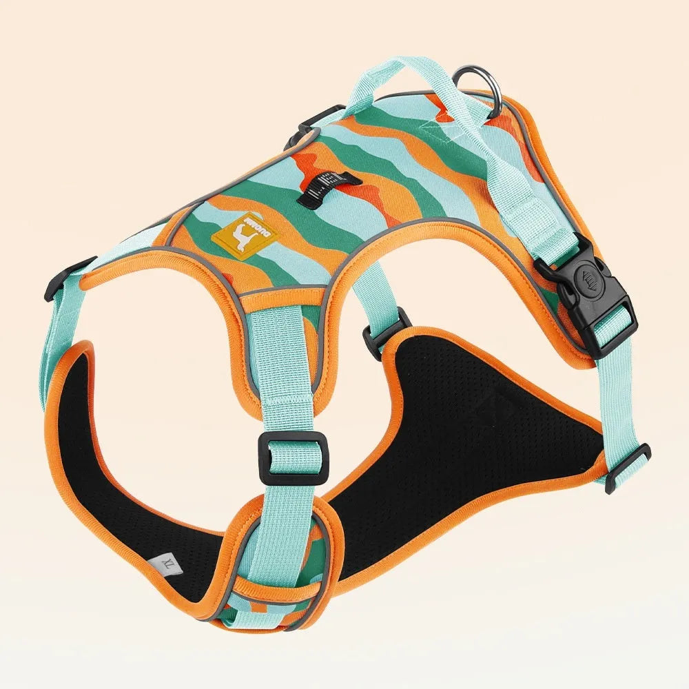 Orange reflective dog walking lead with chest and back straps made from Oxford cloth.