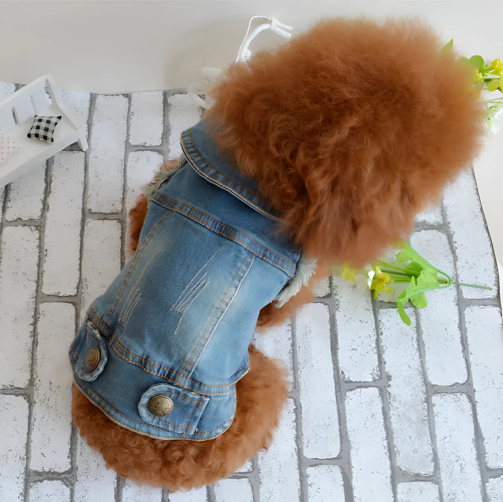 Denim dog vest with retro scratch pattern in dark colour on small breed dog