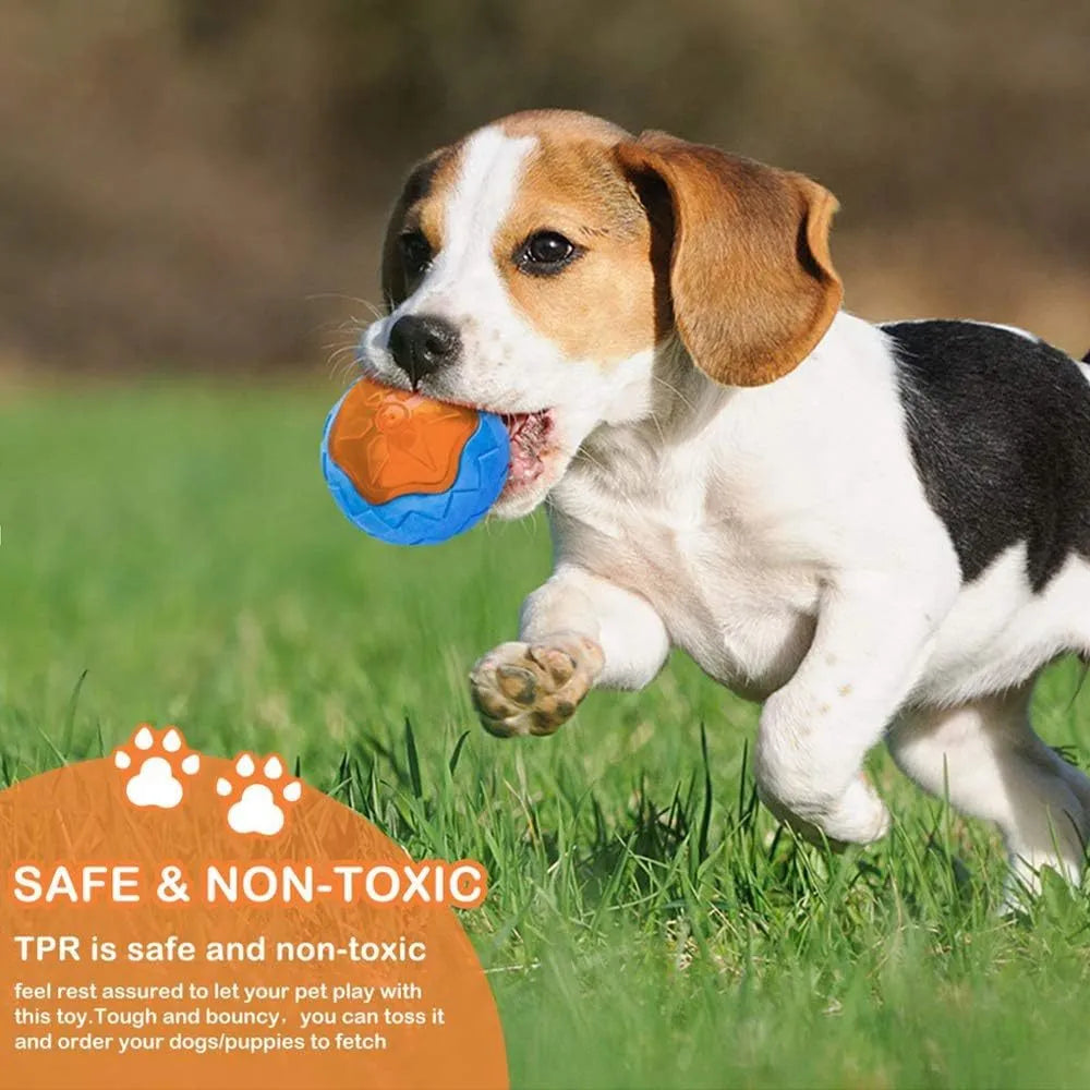 Three TPR floating dog toys: a ball, barbell, and tyre with bumpy textures for water fetch