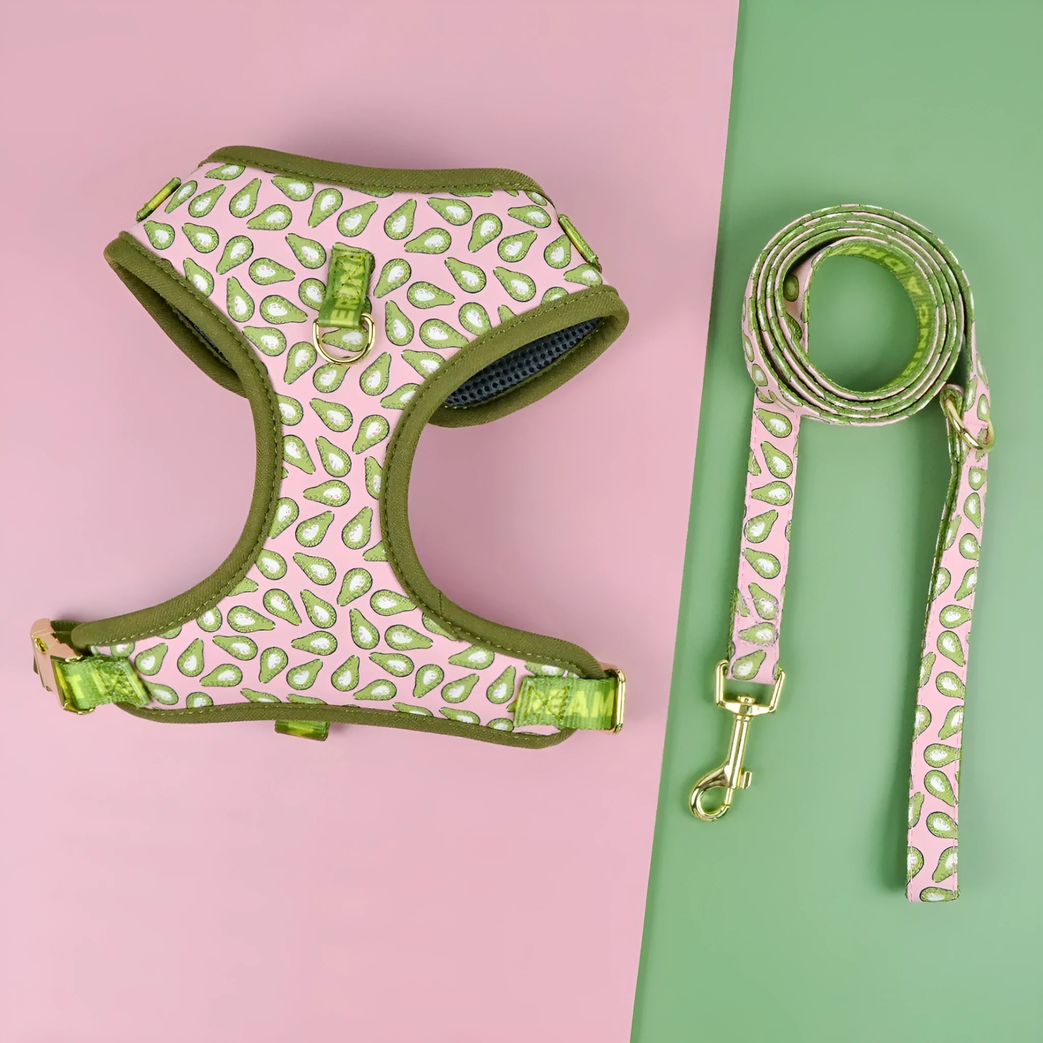 Colourful polyester dog harness and lead set for medium and large breeds on a white background.