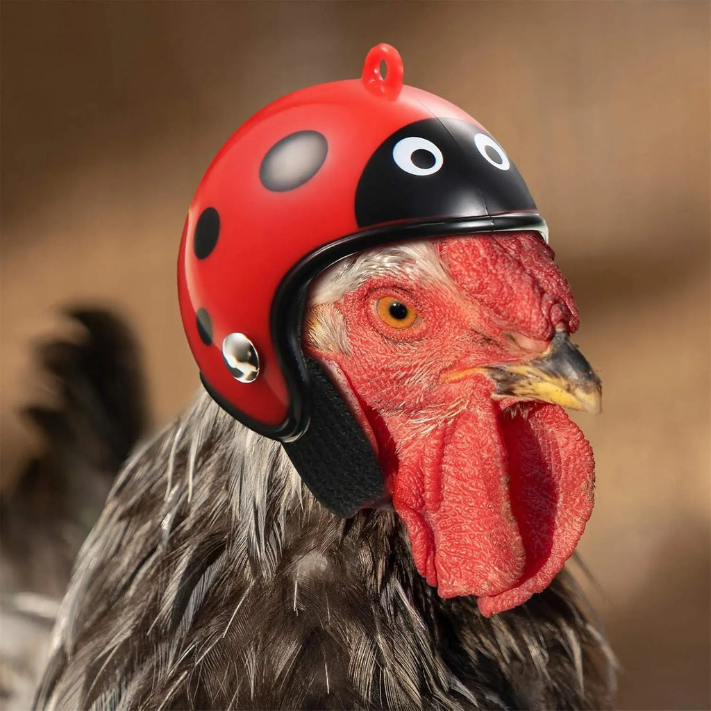 Adjustable chicken safety helmet with sponge lining for small poultry and birds